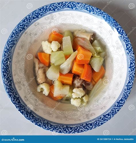 Sayur Soup is an Indonesian Vegetable Soup Made from Vegetables in Chicken or Beef Broth. Stock ...