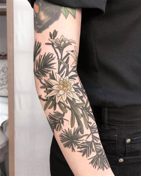 Edelweiss Flower Tattoo Designs | Best Flower Site