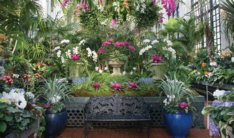 Take A Tropical Escape In Our Conservatory - Biltmore