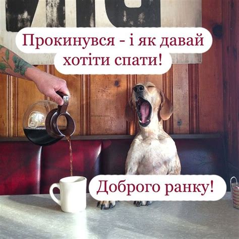 Смішні картинки Доброго ранку | Animals, Motivation