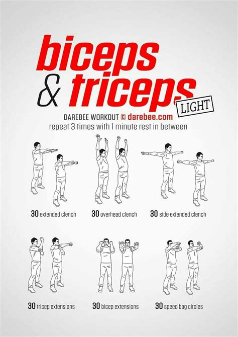 Pin by Blaque Fox on Workout | Bicep and tricep workout, Triceps workout, Biceps workout