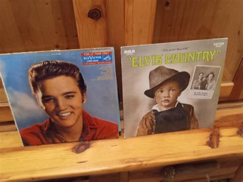 2 ELVIS PRESLEY VINYL RECORD ALBUMS | EstateSales.org