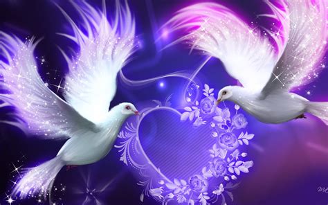 Dove Backgrounds Free Download