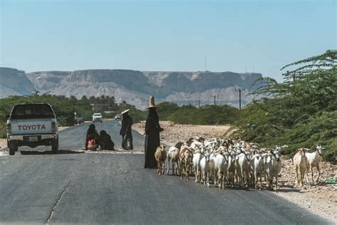 How to travel to Yemen (mainland) in 2025 - Against the Compass