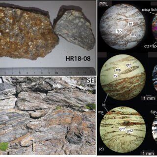 Dominant gneiss types in the Kvitenut Allochthon. (a) Banded gneiss in... | Download Scientific ...