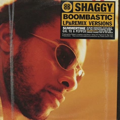 Shaggy – Boombastic – Vinyl (12", 33 ⅓ RPM), 1995 [r101325] | Discogs