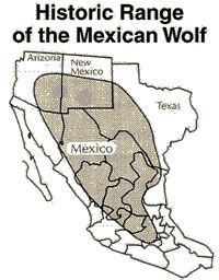 Mexican Grey Wolf Map