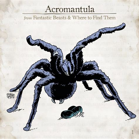 Acromantula by SzokeKissMarton on DeviantArt