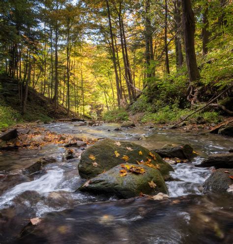 Free Images : landscape, tree, nature, forest, rock, creek, wilderness, trail, sunlight, leaf ...