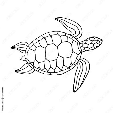 Vector black ink hand drawn sketch doodle sea turtle isolated on white background Stock Vector ...