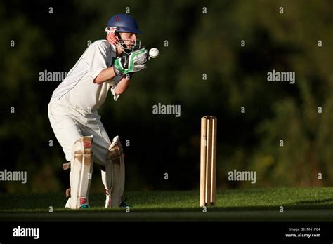 Cricket wicket keeper hi-res stock photography and images - Alamy