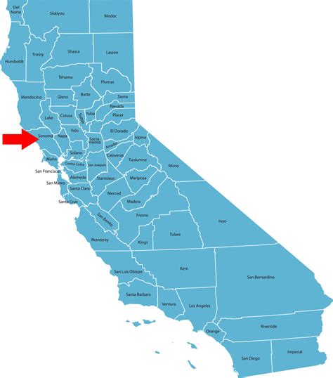 Equine Influenza in Sonoma County, California - EquiManagement