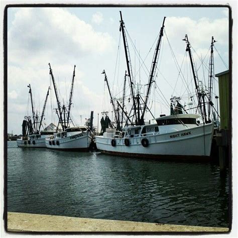 Shrimp boats | Boat, Shrimp boat, Fishing boats