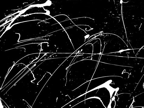 Black And White Paint Splat Free Stock Photo - Public Domain Pictures