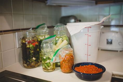 A Guide to Lacto Fermentation — Anne of All Trades