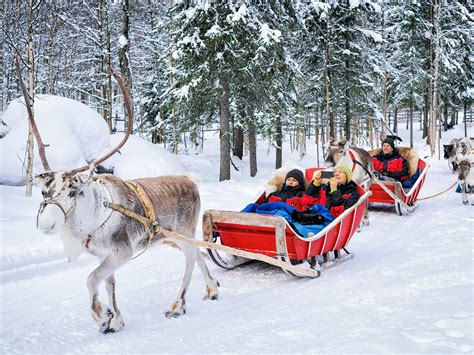 Lapland Christmas 2024 Day Trips 2024 - Marne Sharona