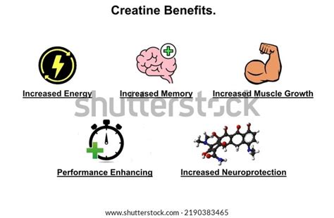 6 Creatine Benefits Images, Stock Photos & Vectors | Shutterstock