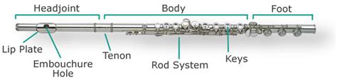 Putting Together Your Flute - Flutes