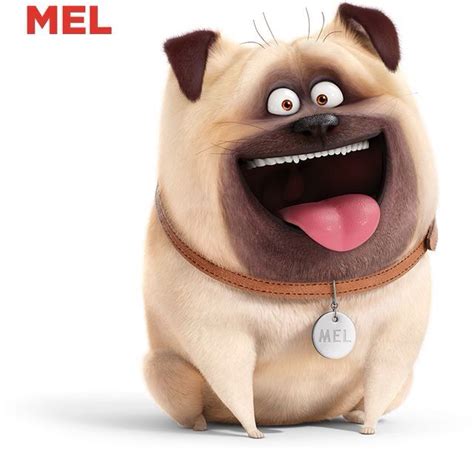 Pin by Snowball on La vida secreta de tus mascotas | Secret life of pets, Pets movie, Pug dog