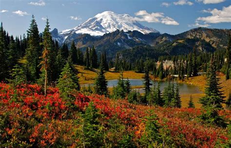 Mount Rainier, Washington - Mike Peters/Shutterstock | National parks ...