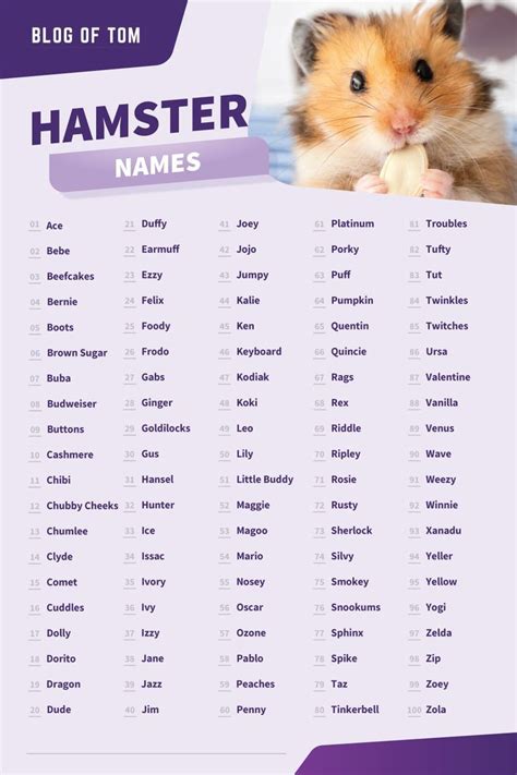 Hamster Names (Boy, Girl, Cute & Funny Ideas) | Hamster names, Hamster names boy, Cute pet names