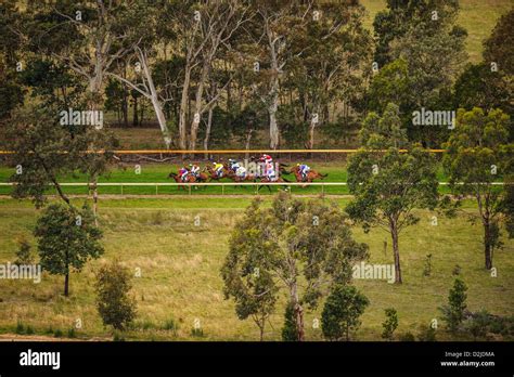 Watching the New Years Day Races at Hanging Rock Racecourse, Victoria, Australia Stock Photo - Alamy