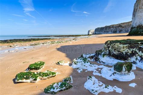 Botany Bay Broadstairs Kent England Stock Photo - Image of white, natural: 31643376