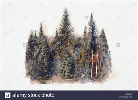 Painting Evergreen Trees at PaintingValley.com | Explore collection of ...