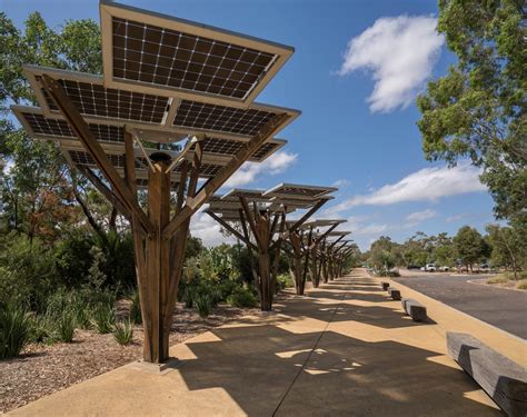 Solar Forest – Sustainabili-trees | Interpretation Australia ...