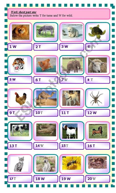 wild and tame animals - ESL worksheet by Abizer