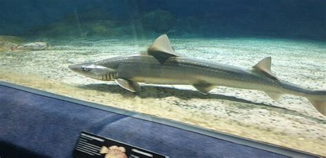 National Aquarium of New Zealand (Napier) - 2020 All You Need to Know Before You Go (with Photos ...