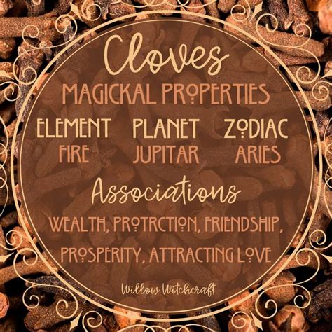 Clove Magickal Properties | Magickal herbs, Magic herbs, Healing herbs