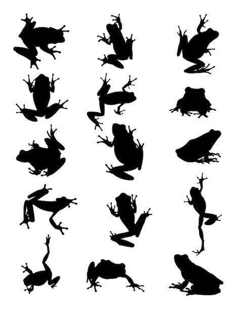 Premium Vector | Frog silhouette