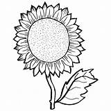 Sunflower coloring Pages  100 Free sketch template