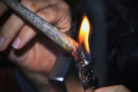 Joint vs Blunt vs Spliff: Everything You Need To Know About Them | Herb