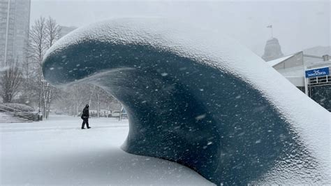 Nova Scotia gets first major blast of winter | CBC News