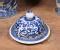 Pair Blue White Chinese Pottery Ginger Jar Urns Vases Nanking