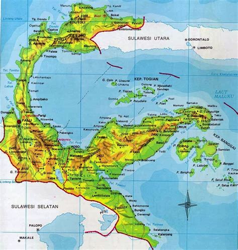 Contained in Sulawesi: Sulawesi Provinces