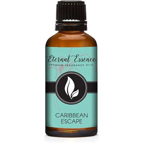 14+ Cashmere Woods Fragrance Oil - DorrienLexa