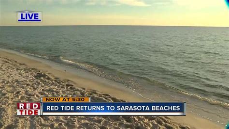 Red tide present on Sarasota County beaches