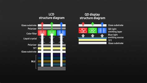 QD-OLED: Samsung’s OLED TV Is Coming Soon. Can It Beat LG? – Step Water Rentals