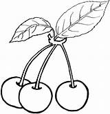 Online coloring Pages Coloring Page Berries berries Download Print  sketch template