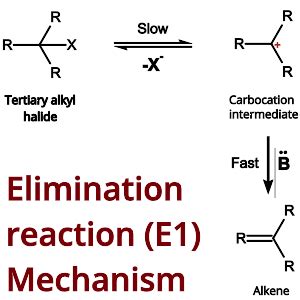 E1 Elimination reaction: Mechanism, Examples & Stereochemistry - PSIBERG