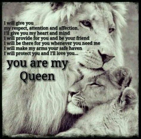 Pin by David on mid day mesg in 2020 | Lion quotes, Love quotes, Lion love