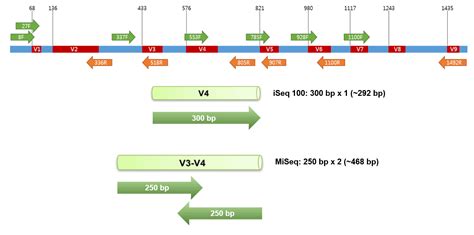 16S rRNA microbiome protocol for Illumina iSeq 100 – EzBioCloud Help center