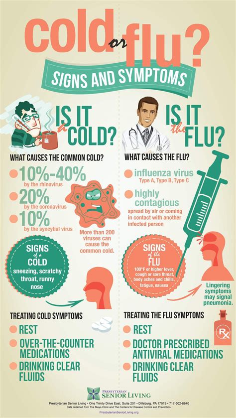 Cold or Flu Infographic: What You Should Know If You Are 65 and Older