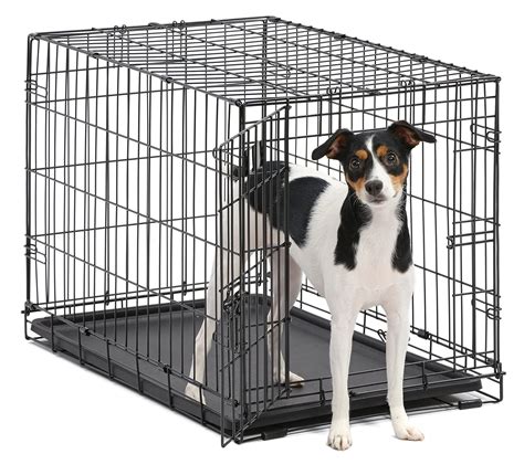 Midwest iCrate Single Door Folding Dog Crates | Petco