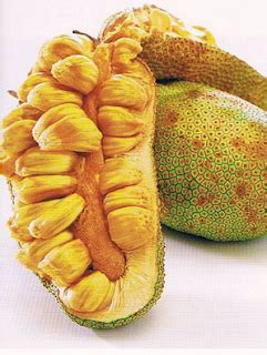 11 Cempedak Fruit Benefits For Health - Fruit Benefit