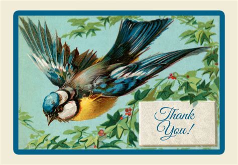 Bird Vintage Thank You Card Free Stock Photo - Public Domain Pictures