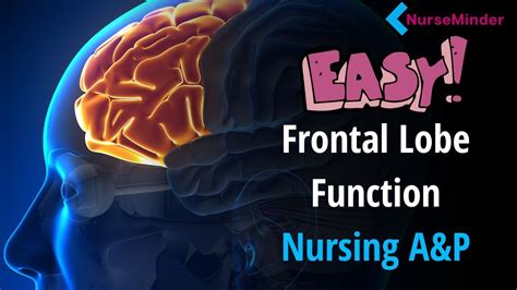 Frontal Lobe Functions Easy way to Remember - YouTube